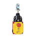 Rope pull switches