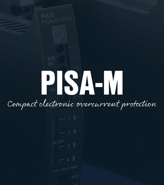 PISA-M