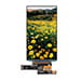 Monitors, displays and keyboards