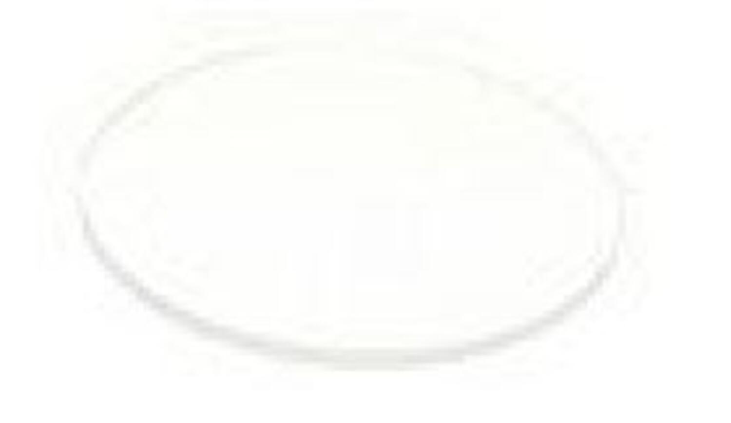 20.000.035 window.JPG