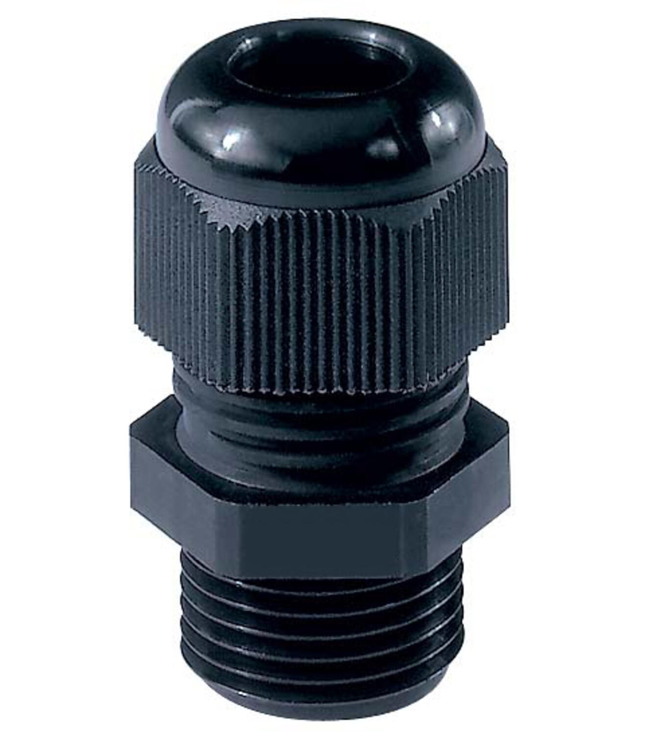 50.6xx PAzzzz_12f.jpg