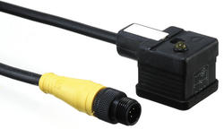 Molex - mPm M8/M12-DIN A / DIN B Industrial moulded cable connectors