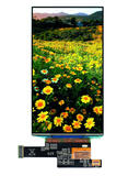 LCD-naytot-tft-naytot-oled-naytot.jpg