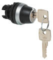 Revolving switch, key