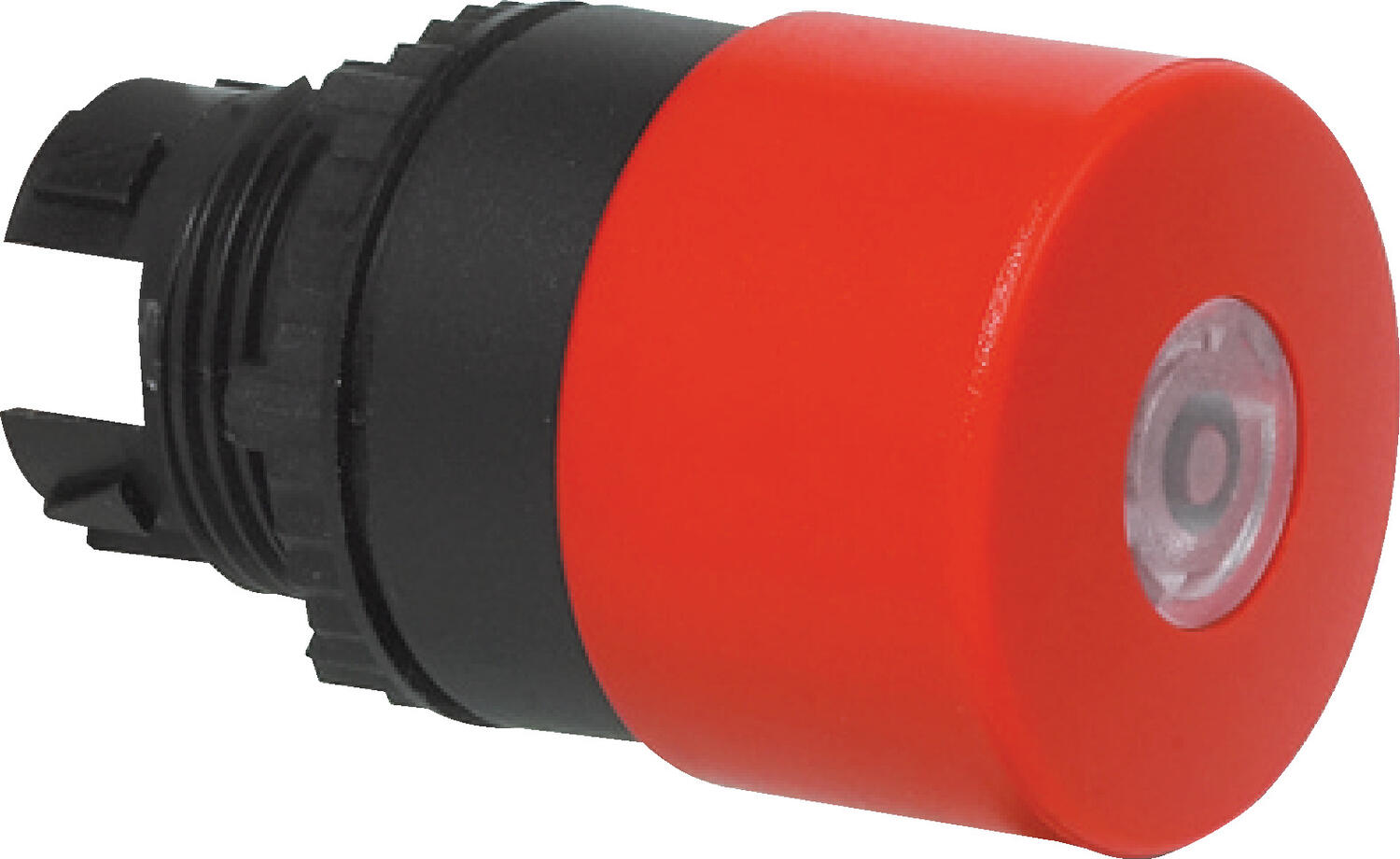 Sponge snap Illuminted 