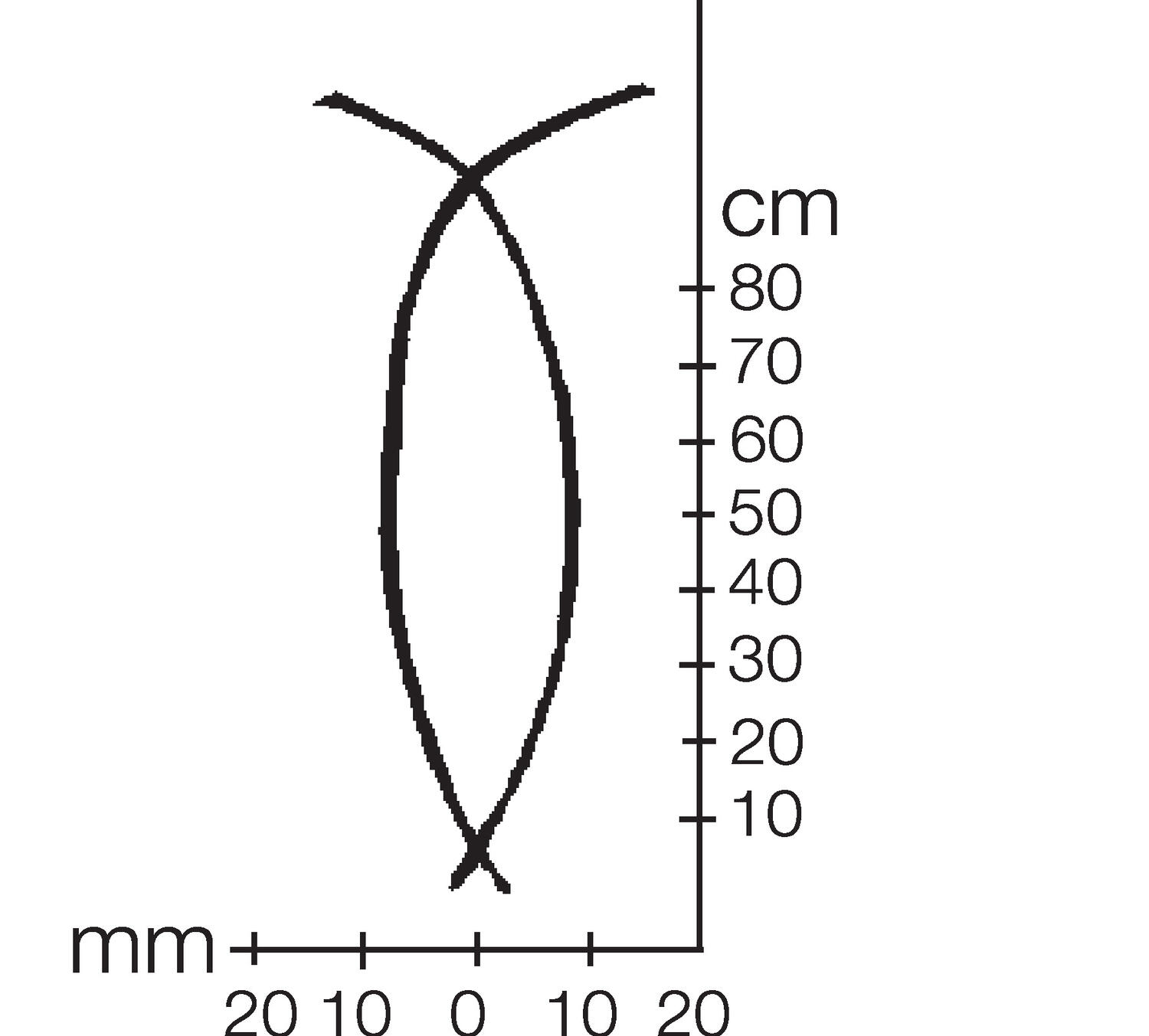 Technical data; Diffusionlobe DLS100, Photocell backgroundanti-dazzled and colourtinsensitive